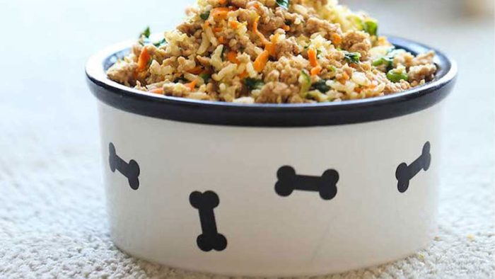 غذای خانگی گربه